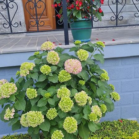 Garden Guest House Permet Ngoại thất bức ảnh