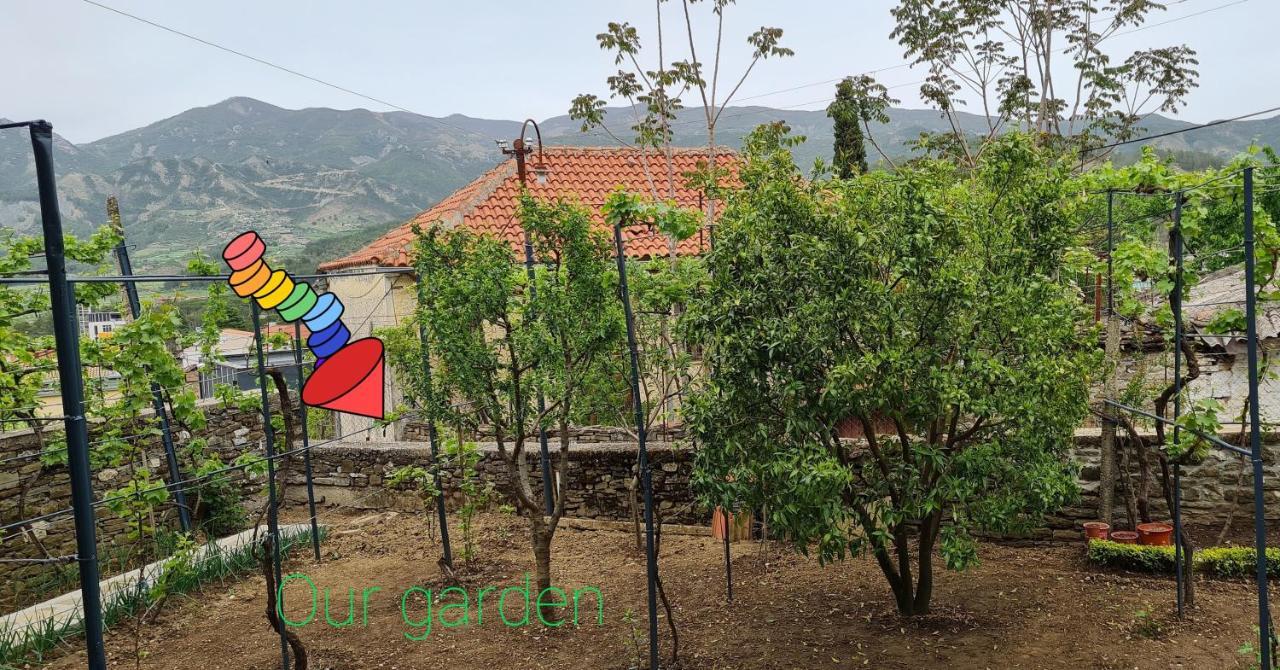 Garden Guest House Permet Ngoại thất bức ảnh