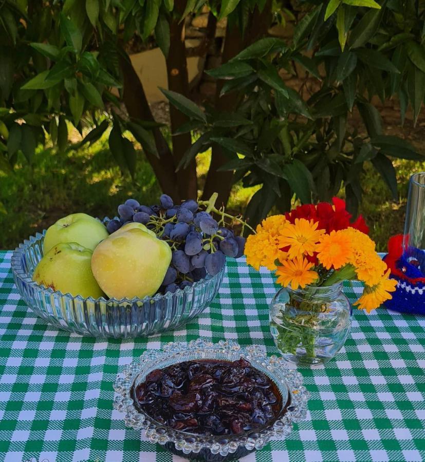 Garden Guest House Permet Ngoại thất bức ảnh