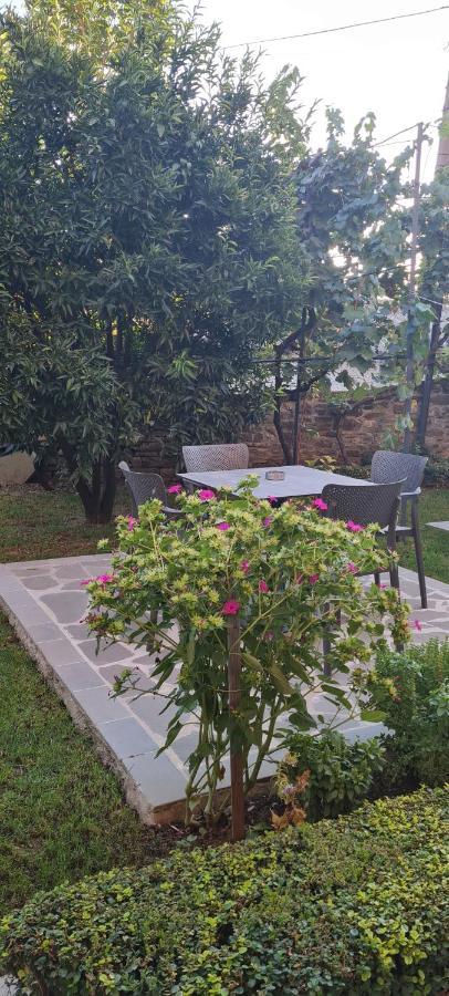 Garden Guest House Permet Ngoại thất bức ảnh