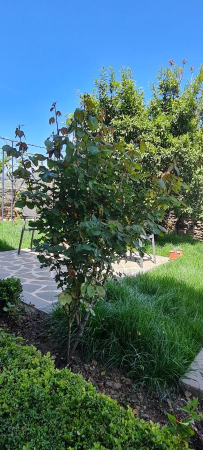 Garden Guest House Permet Ngoại thất bức ảnh