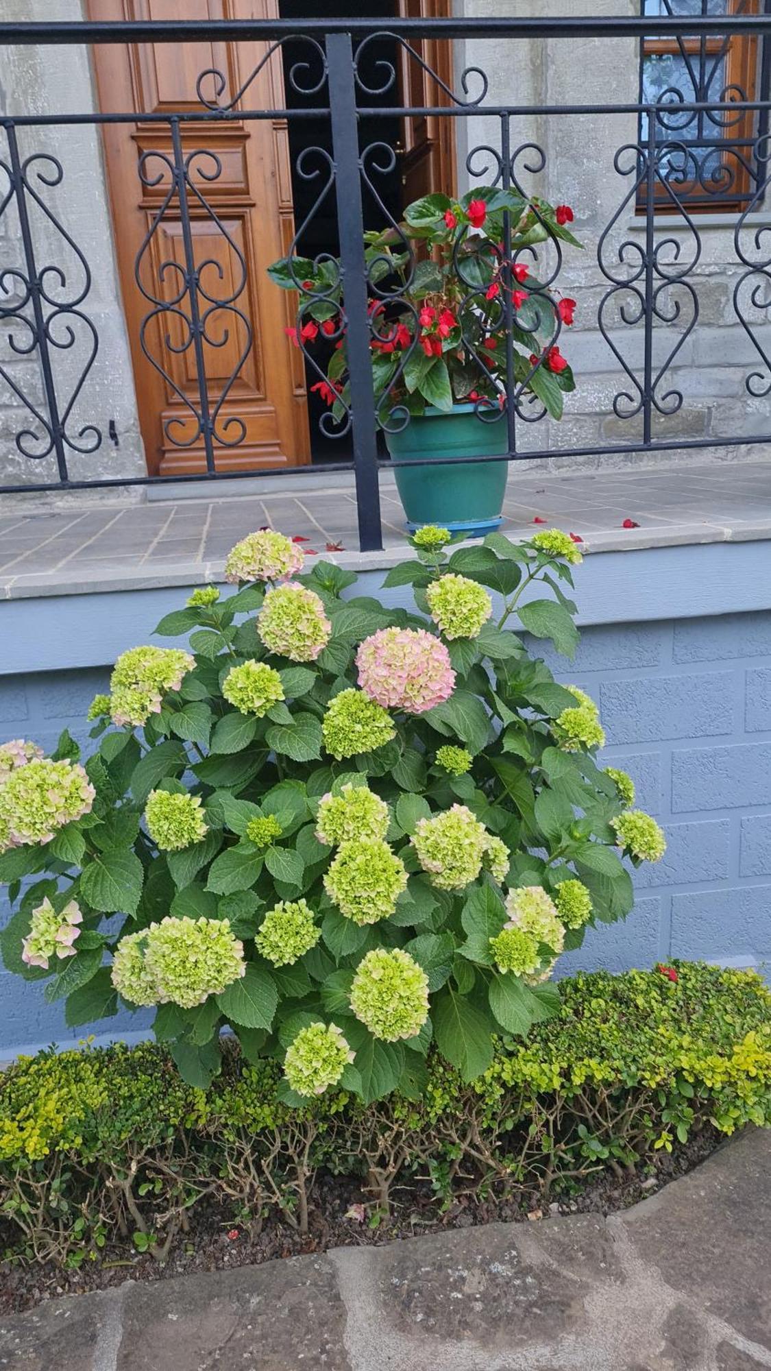 Garden Guest House Permet Ngoại thất bức ảnh