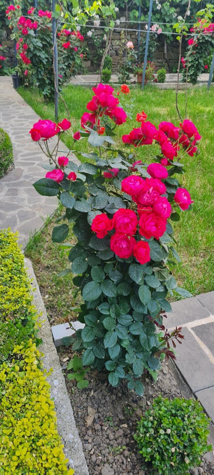 Garden Guest House Permet Ngoại thất bức ảnh